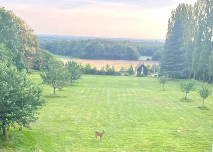Couette-café Château La Chevalerie - 24h Du Mans