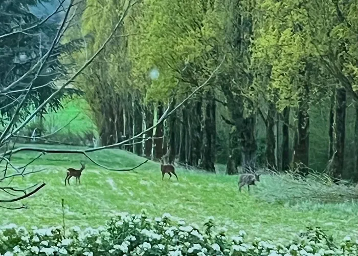 Couette-café Château La Chevalerie - 24h Du Mans Parigné-le-Pôlin